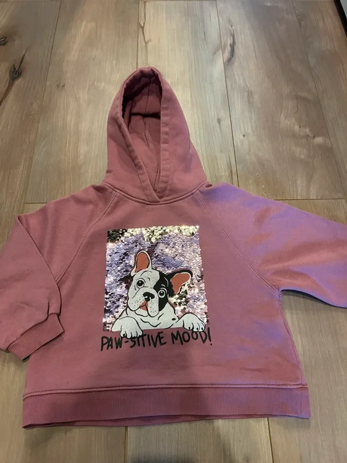 Sweat-shirt bullgog