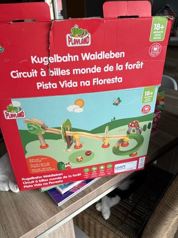 Circuit de construction en bois