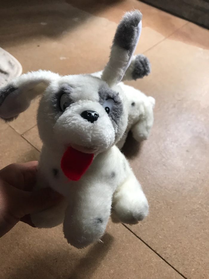 Petits chiens jumeaux - photo numéro 4