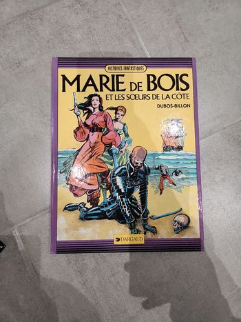 Bande dessinée : Marie de Bois
