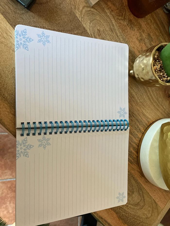 Disneyland cahier livre la reine des neiges - photo numéro 4