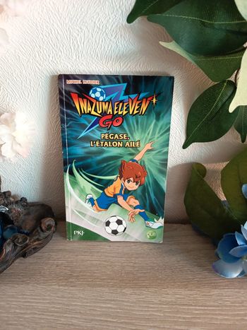 Inazuma Eleven Go – Pégase, l’étalon ailé – PKJ