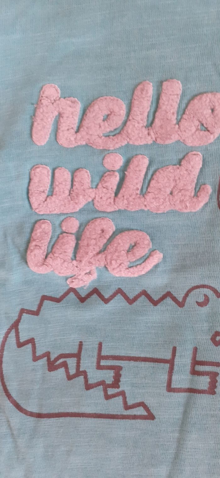 Tee-shirt MC bébé garçon 12 mois - photo numéro 2