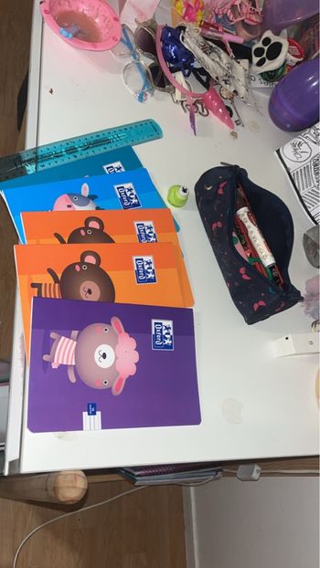 Lot cahier neuf + trousse crayon de couleur