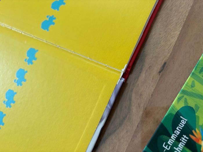 Livre le lion - photo numéro 4