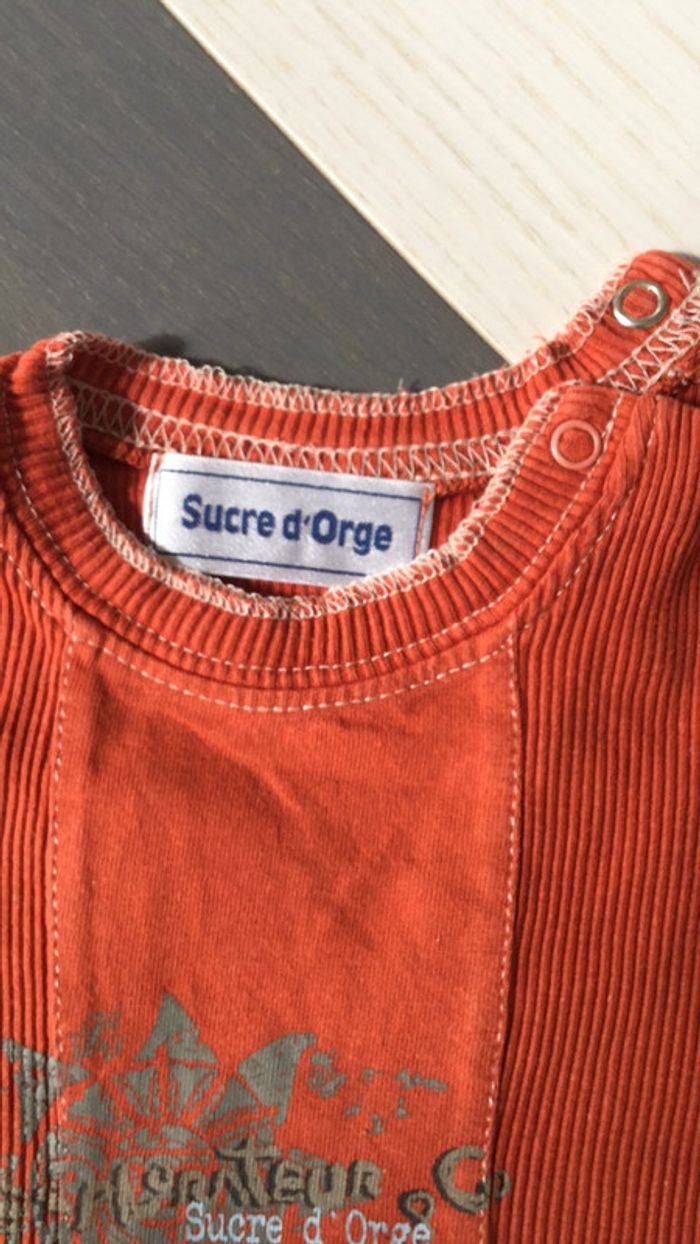Tee shirt bordeaux 24m Sucre d Orge - photo numéro 3