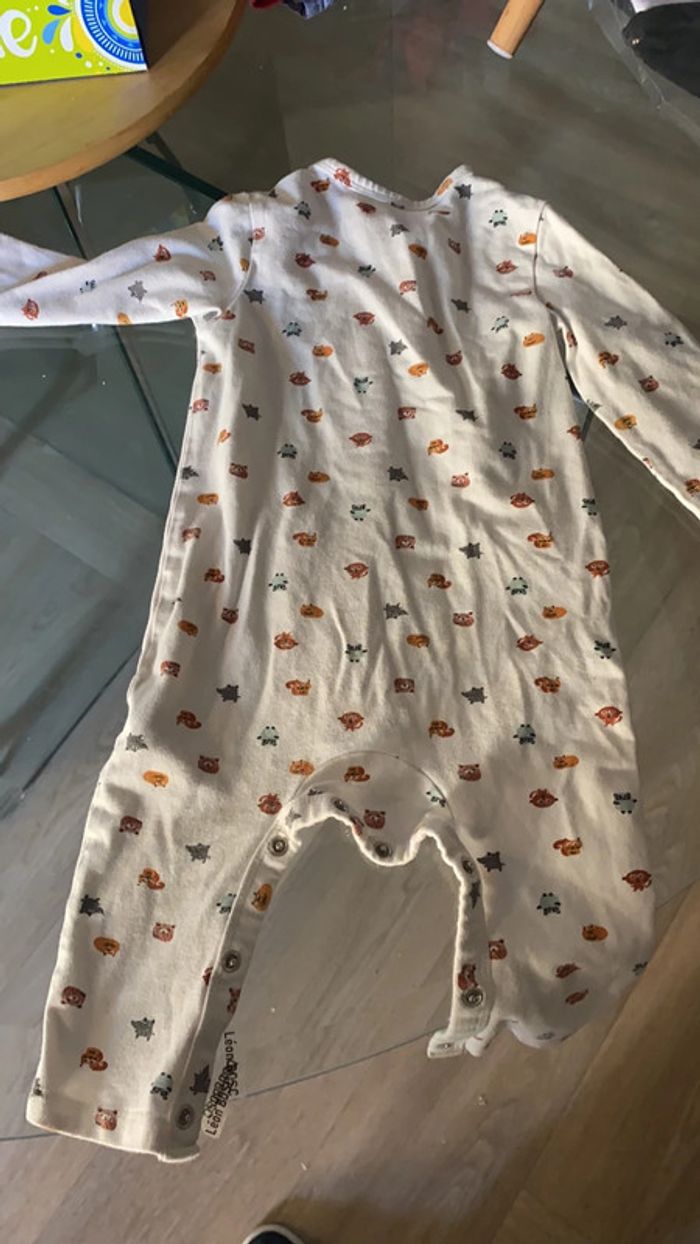 Grenouillère - photo numéro 11