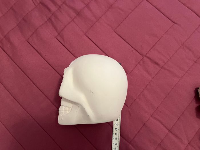 Lot Crâne en Plâtre, Peinture, Pinceau. Neufs - photo numéro 8