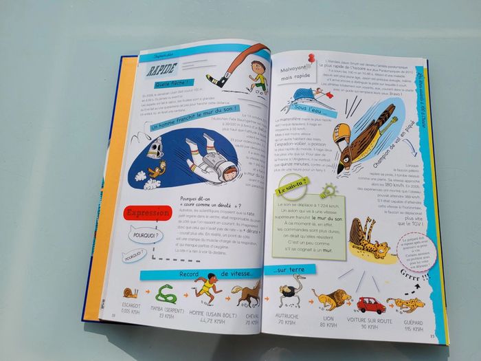 Grand livre Le Larousse des Records, couverture mousse - photo numéro 6