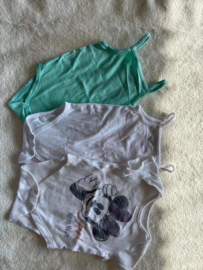 Bodies
