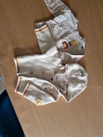 Gilet et haut thème lion savane sergent major