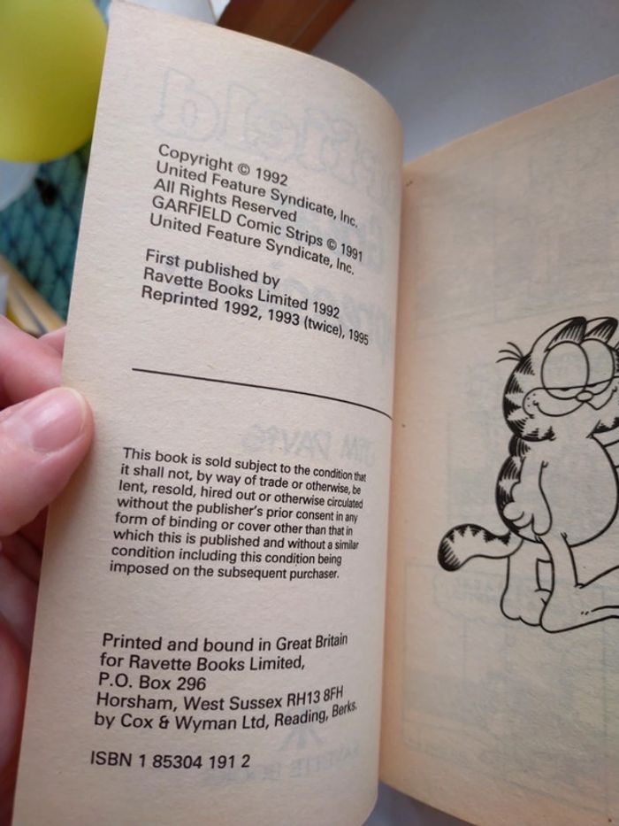 Garfield great impressions - photo numéro 8