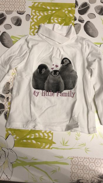 Teeshirt pingouin