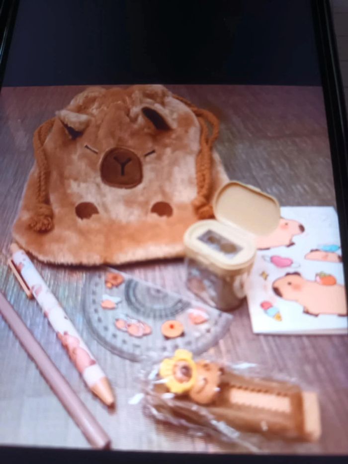 Ballotin Capybara et ses accessoires - photo numéro 3