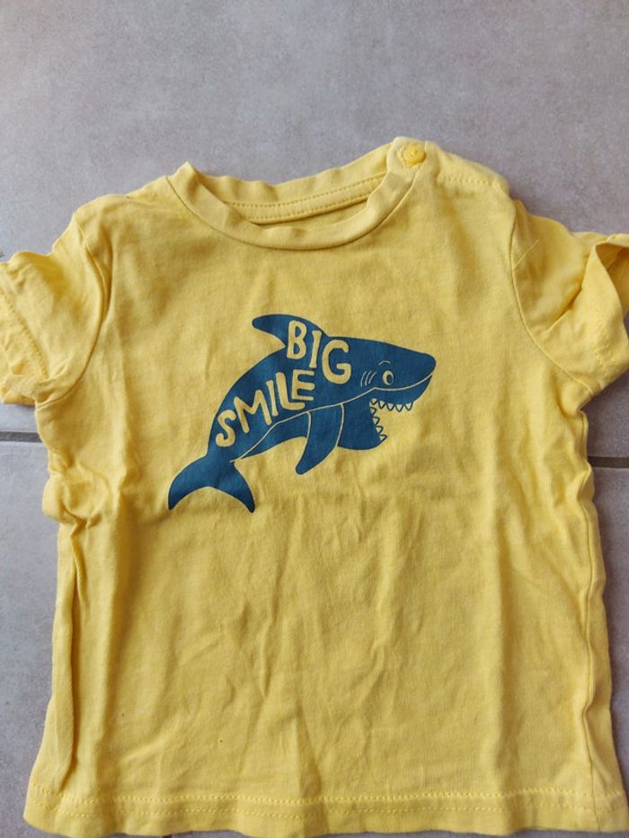 Tee-shirt In extenso