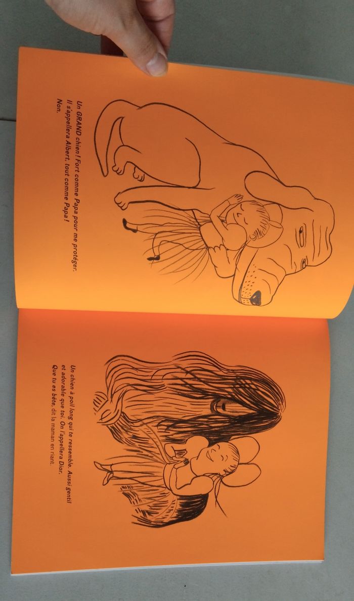 Livre enfant : Jeveux un chien et peu importe lequel - photo numéro 4