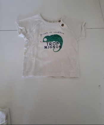 T shirt bebe
