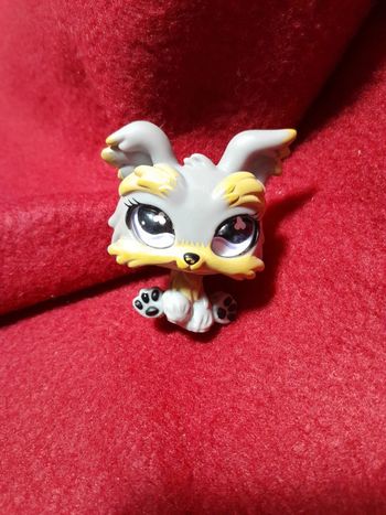 Figurine Petshop A17