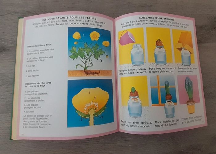 Livre: L'imagerie de la nature - Fleurus enfants - photo numéro 4