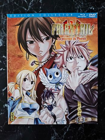 Fairy Tale : La Prêtresse du Phoenix en Blu-ray
