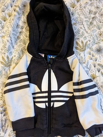 Lot 1 gilet et 1 pull