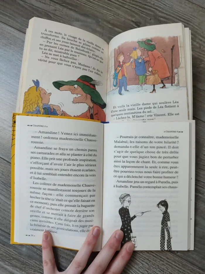 Lot de 2 livres sur les sorcières - photo numéro 3
