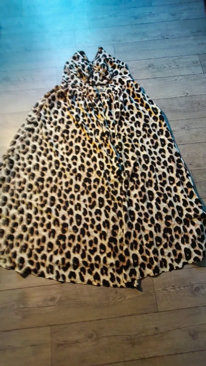 Robe longue - photo numéro 5