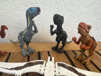 Petit dinosaure 