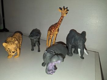 Animaux de la savane