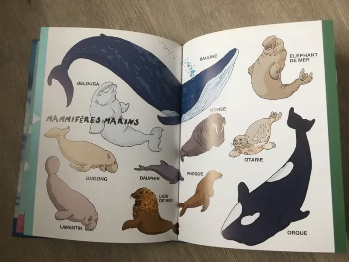 Le Dico des animaux - photo numéro 5