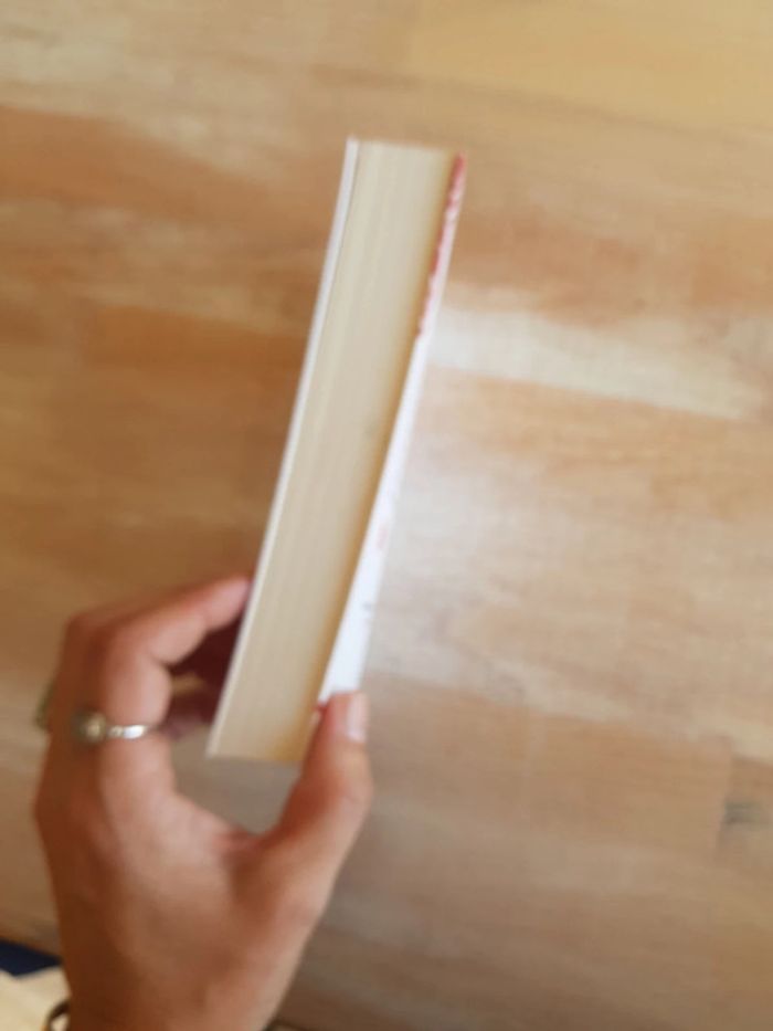 Guillaume Musso - La jeune fille et la nuit - photo numéro 4