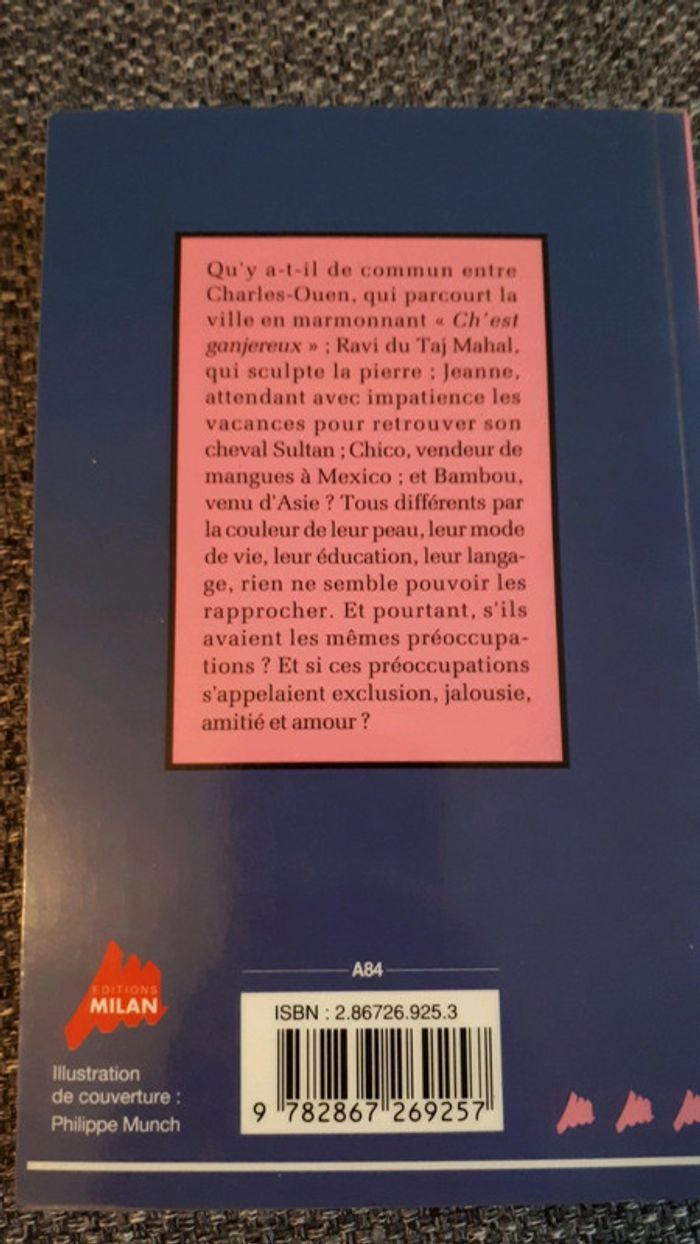 Lot de 3 livres poche jeunesse - photo numéro 3