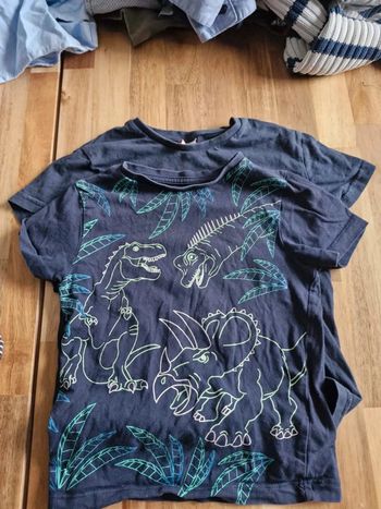 Lot de 2 tee-shirt 5ans.