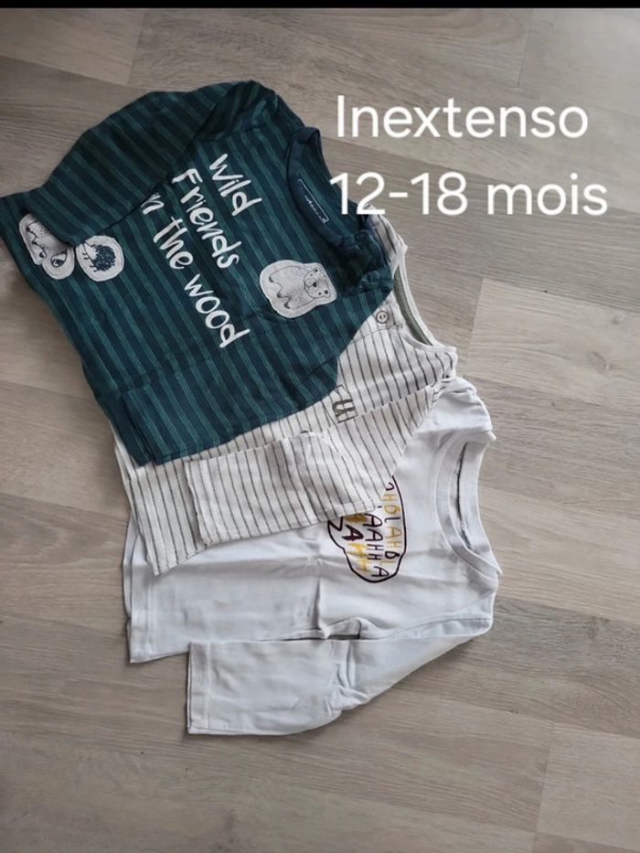 Lot tee-shirts "Inextenso" 12-18mois
