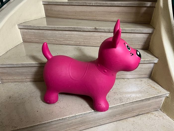 Chien sauteur rose  Ludi - photo numéro 8