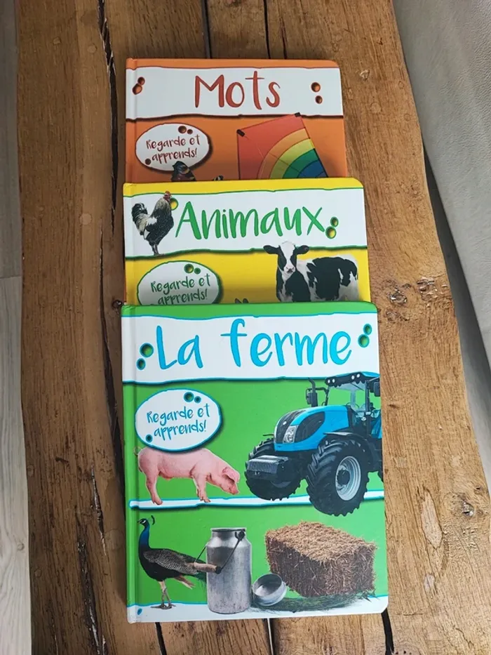 Lot de 3 livres éducatifs