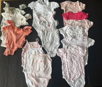 Lot 15 bodies 9 mois