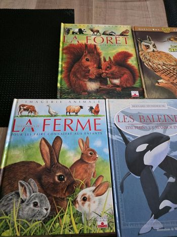 Lots 5 livres animaux
