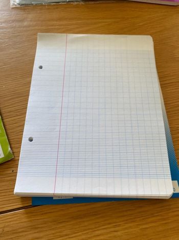 Feuilles 17x22 perforées