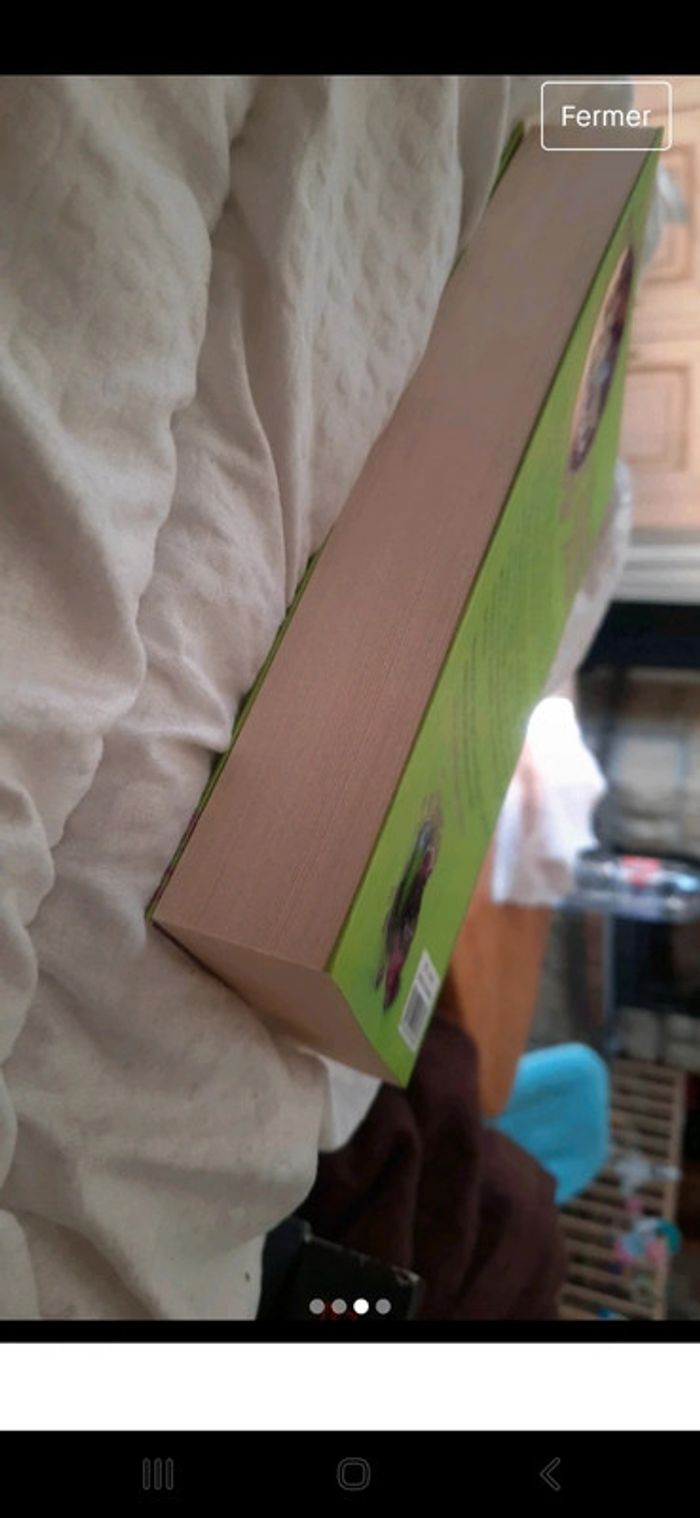 Le bonheur côté pile - photo numéro 3