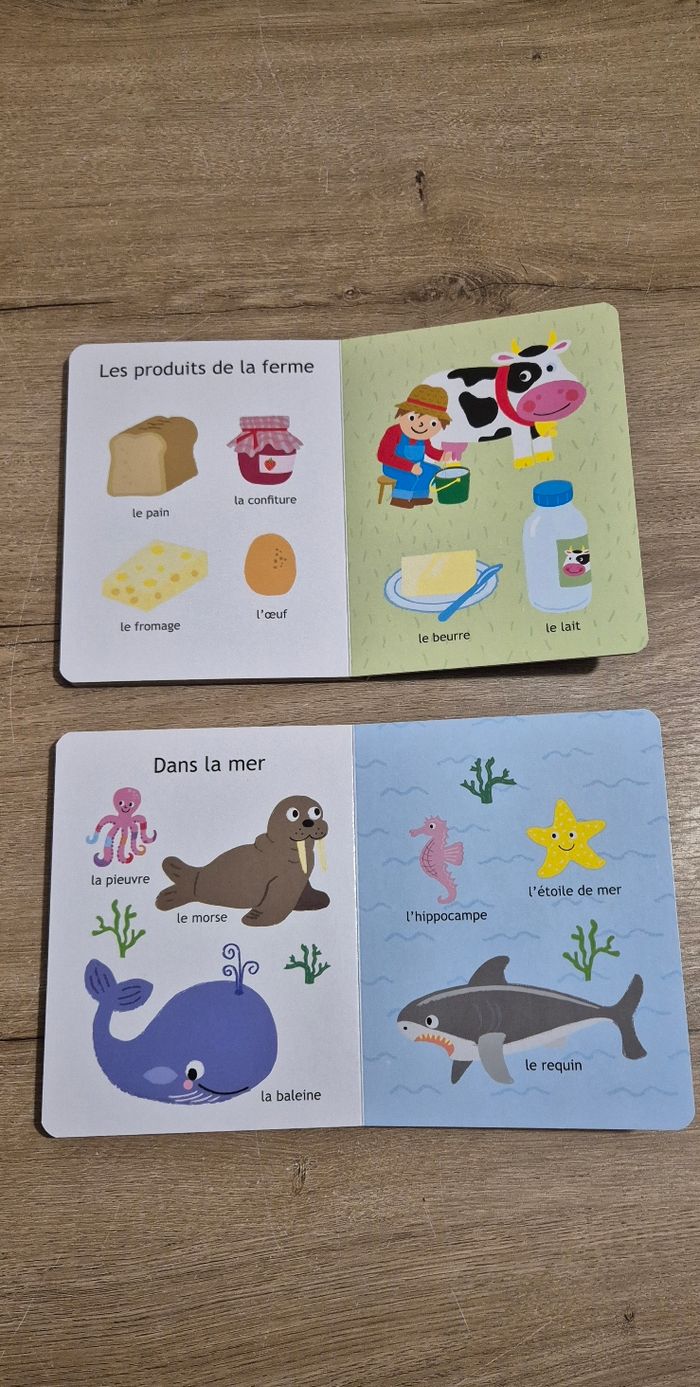 Lot livres imagiers - photo numéro 7