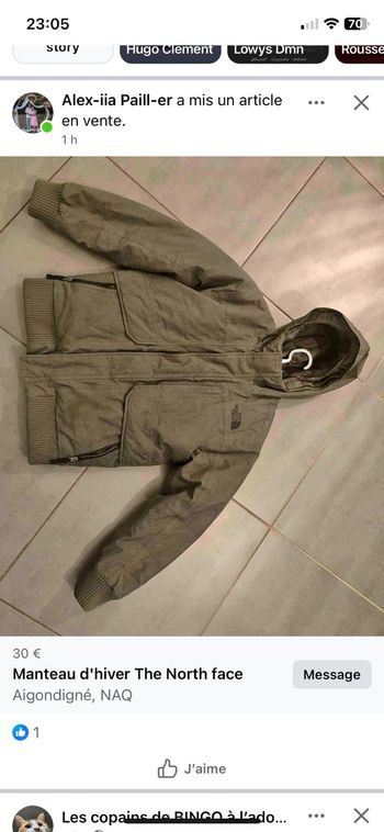 Manteau d'hiver The North face