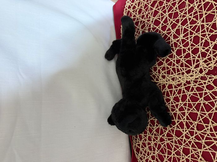 Peluche chat noir, panthère noire, 1994 - photo numéro 4