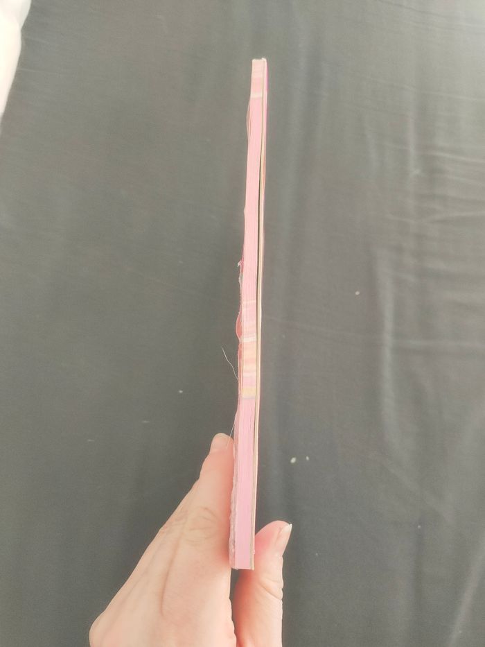 Bloc Diddl A5 neuf emballé blister OVP - photo numéro 3