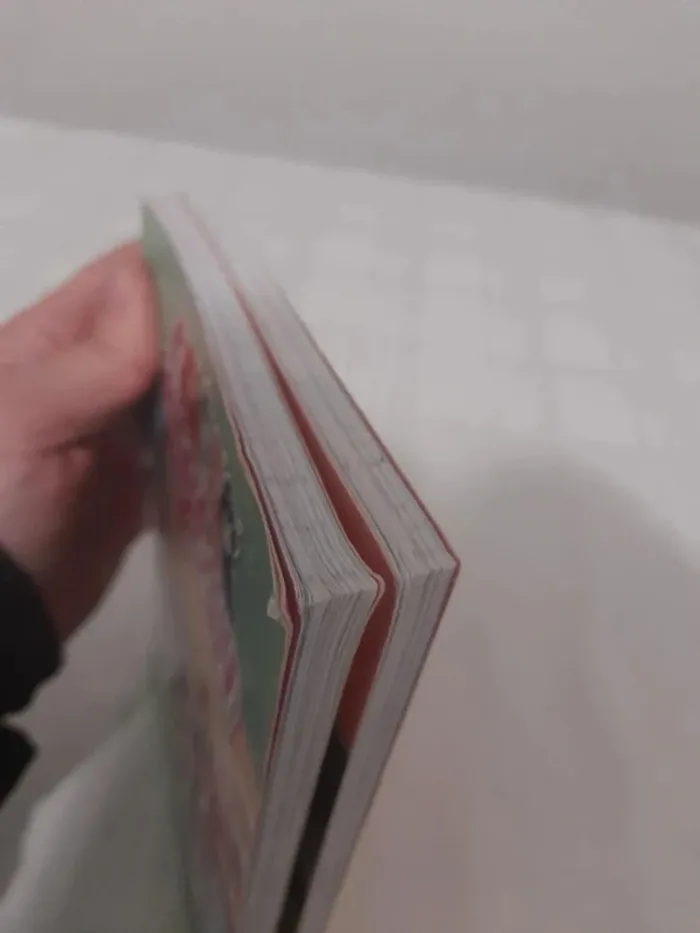 Lot de 2 livres melowy à partir de 7ans - photo numéro 14
