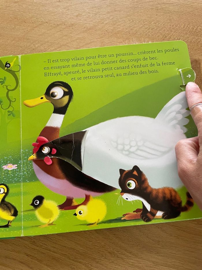 Le vilain petit canard - photo numéro 3