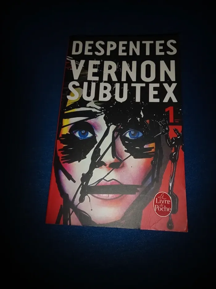 Livre vernon subutex