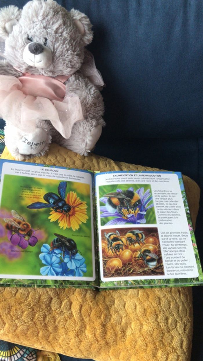 Livre l imagerie des petites bêtes - photo numéro 6