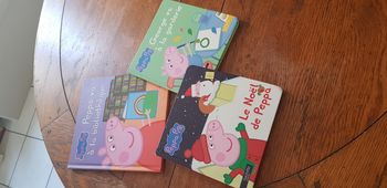 Lot 3 livres Peppa Pig