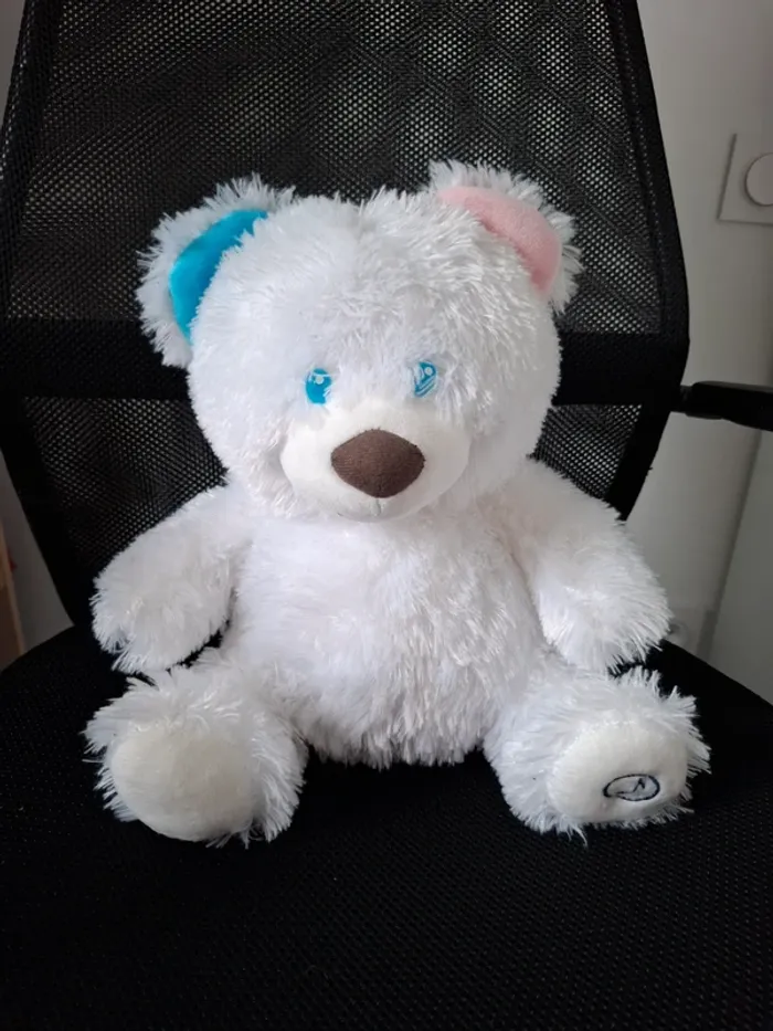 Ours peluche